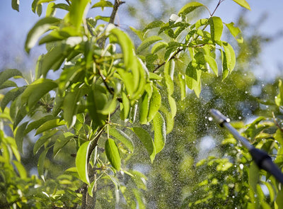 Gardena Rückenspritzgerät 12l Plus: Drucksprühgerät mit Teleskop-Lanze, grosse Einfüllöffnung, ergon