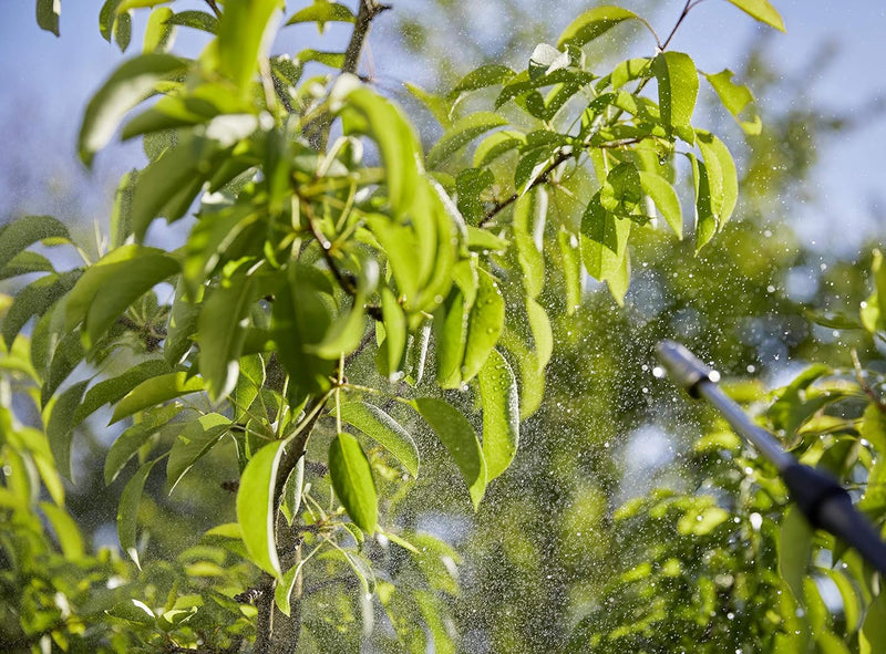 Gardena Rückenspritzgerät 12l Plus: Drucksprühgerät mit Teleskop-Lanze, grosse Einfüllöffnung, ergon