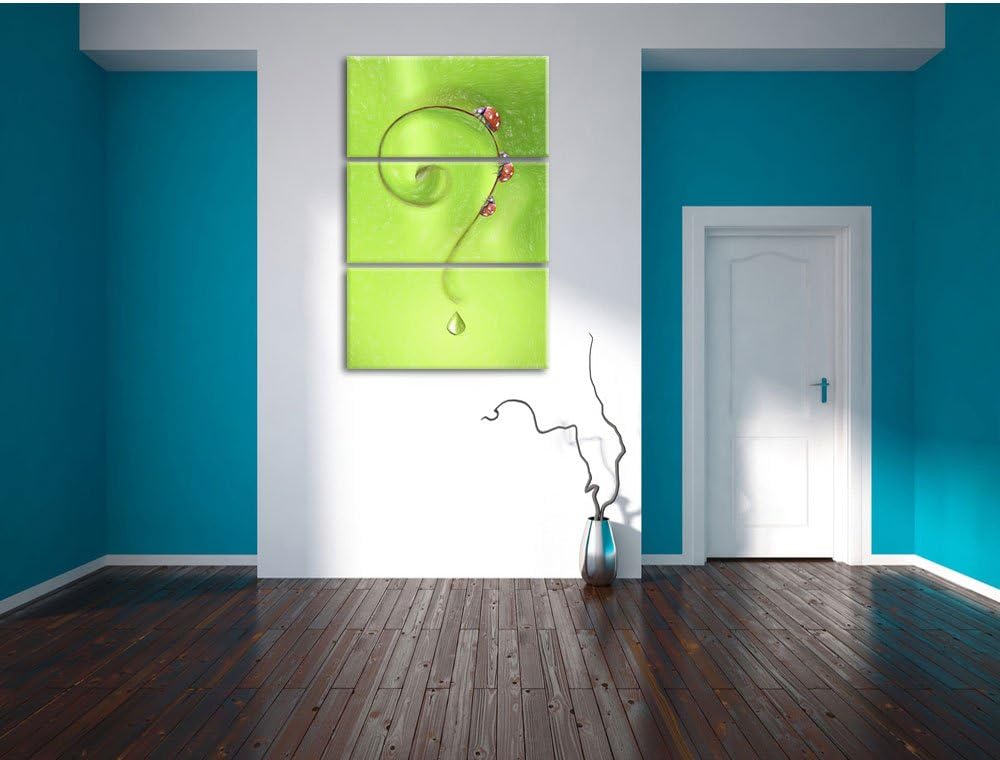 Pixxprint Marienkäfer Folgen dem Fragezeichen Kunst Buntstift Effekt 3-Teiler Leinwandbild 120x80 Bi