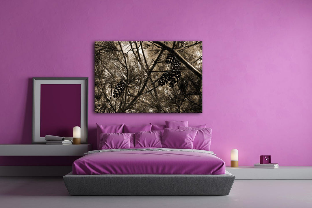 deyoli Kiefernzapfen im Wald Format: 80x60 Effekt: Sepia als Leinwandbild, Motiv fertig gerahmt auf