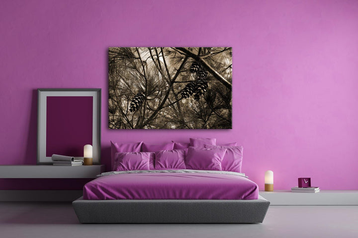 deyoli Kiefernzapfen im Wald Format: 80x60 Effekt: Sepia als Leinwandbild, Motiv fertig gerahmt auf