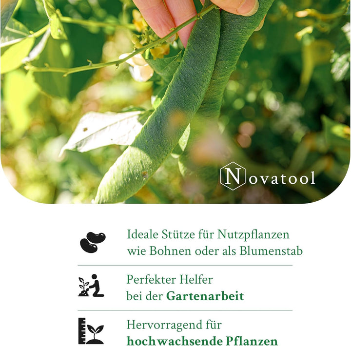 Novatool 600x Splittstäbe 40 cm x 4 mm I Natur I Rankstäbe Tomatenstäbe Rankstab Tomatenstab Blumenh