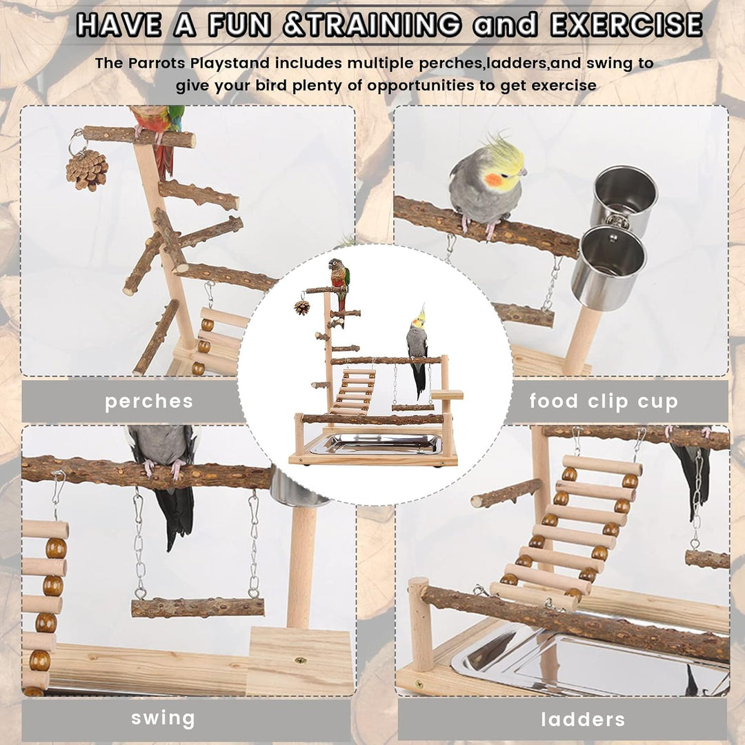 WishesMar Wellensittich Spielplatz Vogel-Spielplatz mit Feeder-Cup Spielzeug Leiter Erklimmen Schauk