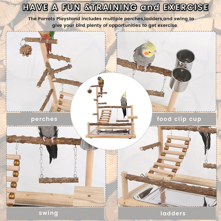 WishesMar Wellensittich Spielplatz Vogel-Spielplatz mit Feeder-Cup Spielzeug Leiter Erklimmen Schauk
