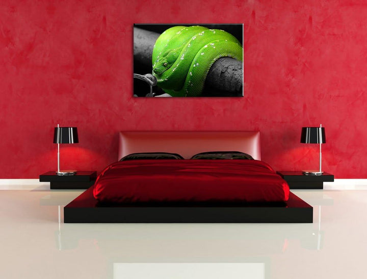 Pixxprint Grüne exotische Schlange als Leinwandbild/Grösse: 100x70 cm/Wandbild/Kunstdruck/fertig bes
