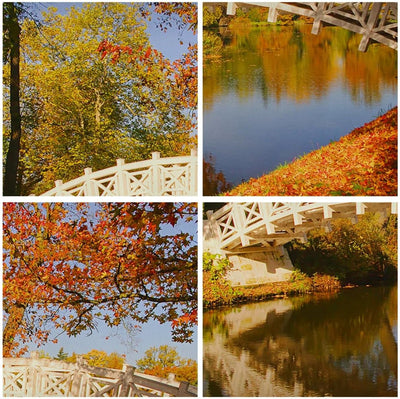 Bilder auf Leinwand 100x70cm Leinwandbild Stream Fussgängerbrücke Herbst Gross Wanddeko Bild Schlafz