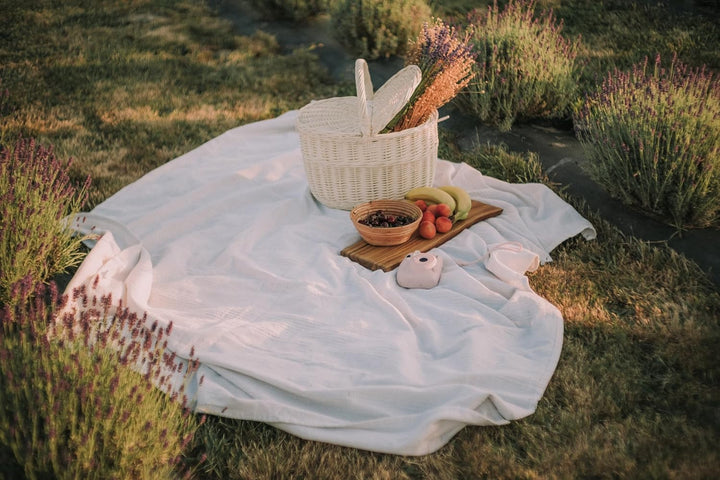 Picknickkorb aus Weide Weidenkorb mit dem Deckel grosser Aufbewahrungskorb für Obst und Gemüse Provi