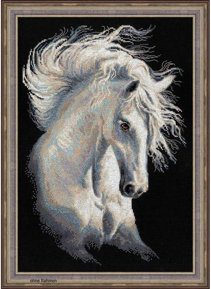 Riolis Kreuzstich-Set Andalusische Charakter Gezählt Set, Schwarz