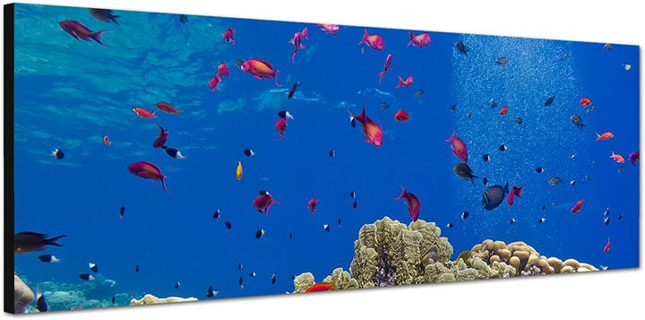 Paul Sinus Art Panoramabild auf Leinwand und Keilrahmen 150x50cm Meer Unterwasser Riff Korallen Fisc