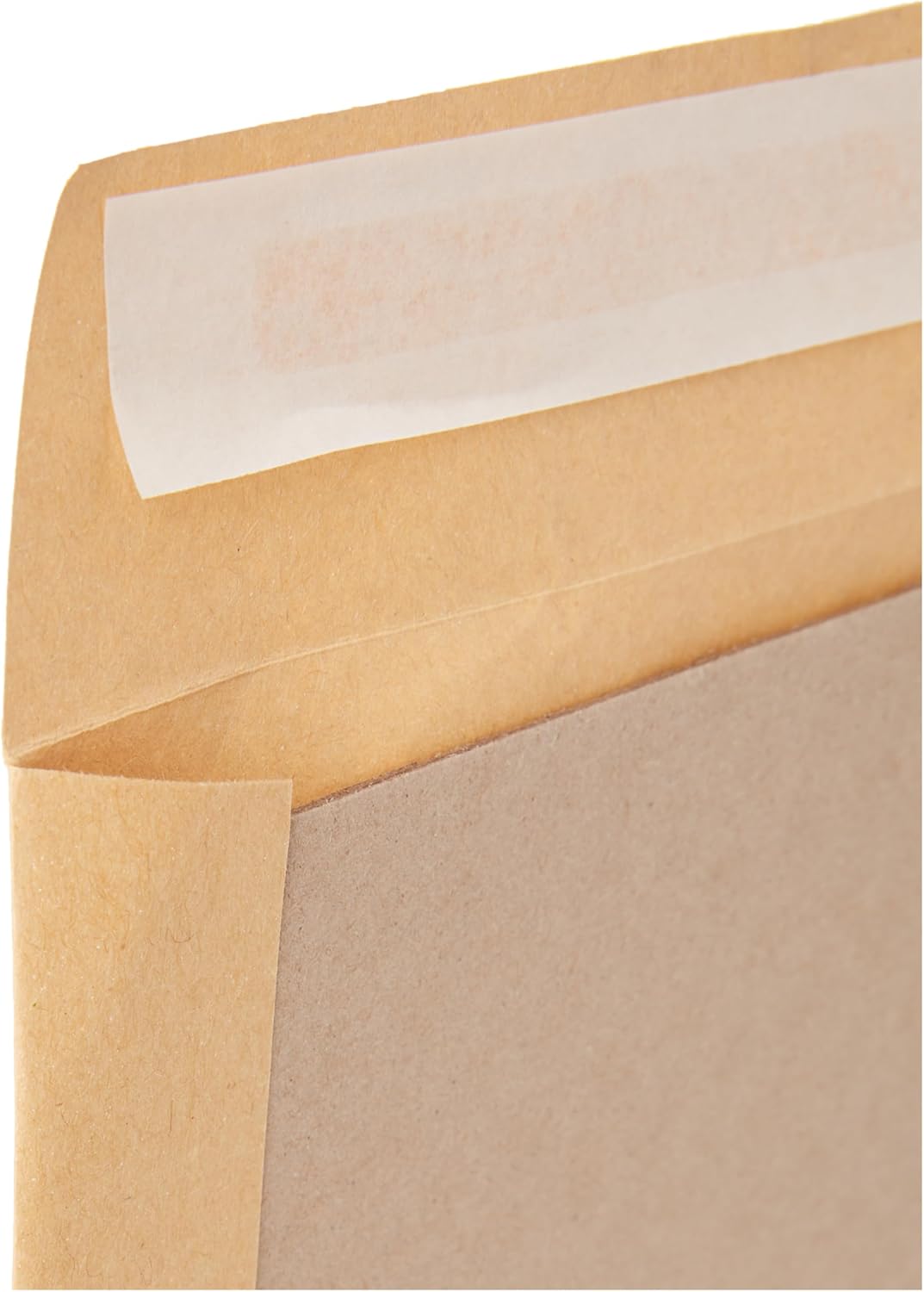 Blake Purely Packaging 13935 Versandtasche Mit Papprückwand Haftklebung Manila C4 324 x 229 mm - 120