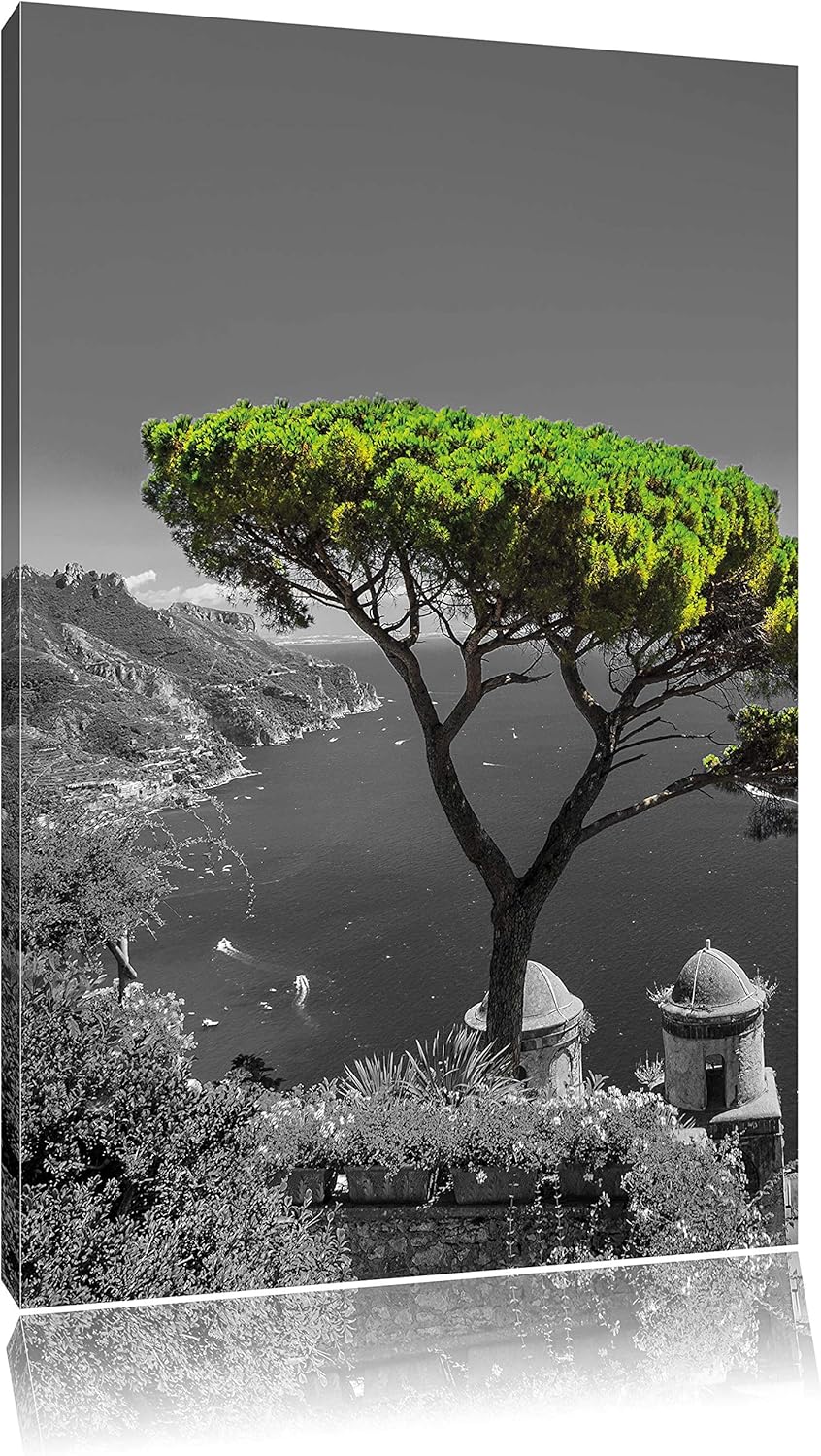 Pixxprint Mediteraner Baum am Mittelmeer als Leinwandbild/Grösse: 100x70 cm/Wandbild/Kunstdruck/fert