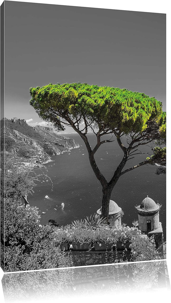 Pixxprint Mediteraner Baum am Mittelmeer als Leinwandbild/Grösse: 100x70 cm/Wandbild/Kunstdruck/fert