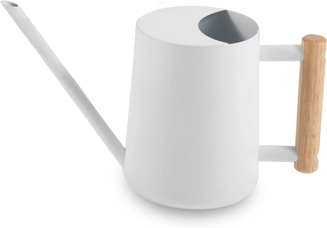 Giesskanne Zimmerpflanzen, 1000ml Metall Edelstahl Giesskanne Kleine Moderne Bewässerung Topf mit la