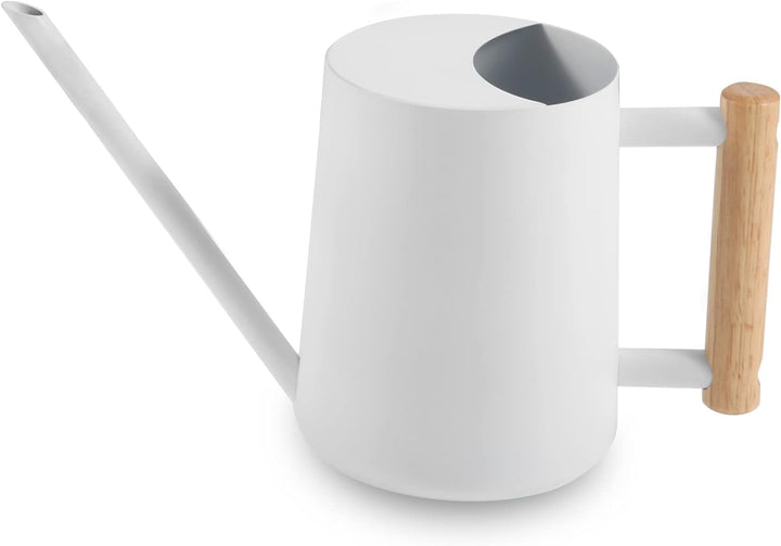 Giesskanne Zimmerpflanzen, 1000ml Metall Edelstahl Giesskanne Kleine Moderne Bewässerung Topf mit la