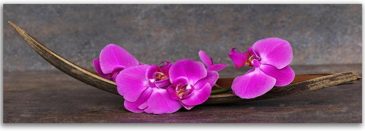 Feeby Frames, Leinwandbild, Bilder, Wand Bild, Wandbilder, Kunstdruck 60x150cm, BLUME, ORCHIDEE, ZEN