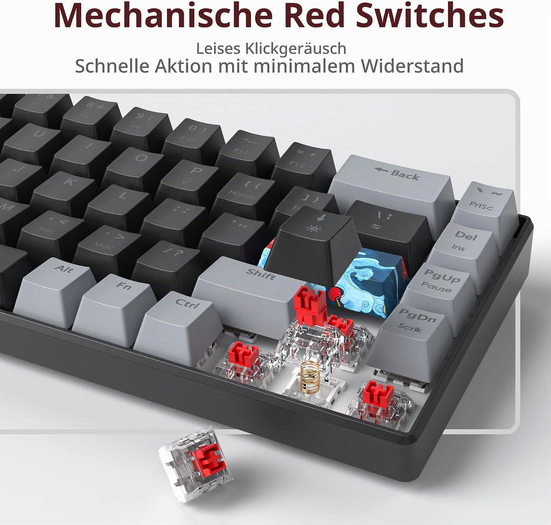 SOLIDEE Tragbare 65% mechanische Gaming-Tastatur,68 Tasten kompakte RGB LED-Hintergrundbeleuchtung,k