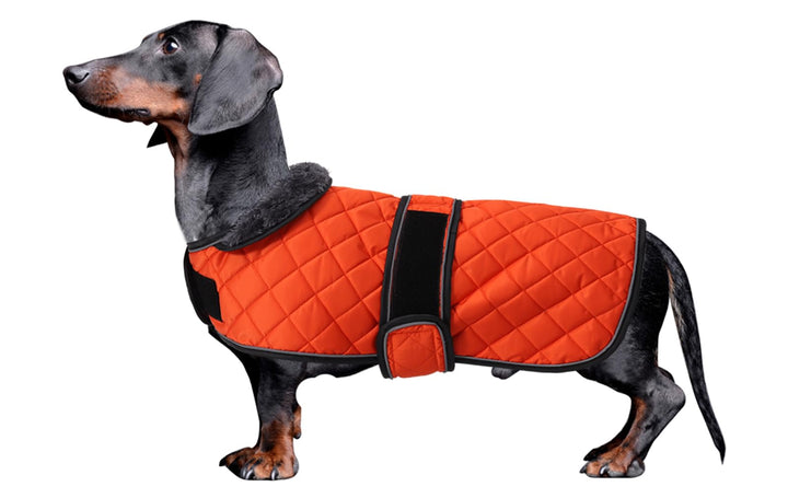 MOREZI Hundemantel Winter für Dackel - Wasserdichter Hunde Pullover mit Wolle Futter & Verstellbaren