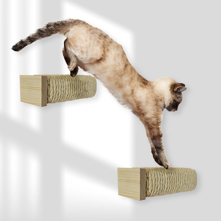 Rohrschneider Katzentreppe für Katzenwand | Kletterwand Katzen Holz | Wandelemente | Kratzstamm mit