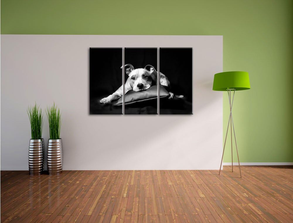 Pixxprint Monocrome, Dark Süsser American Staffordshire 3-Teiler Leinwandbild 120x80 Bild auf Leinwa