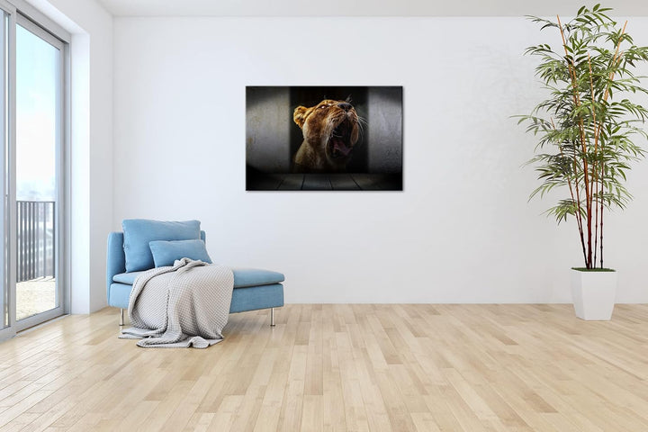 deyoli brüllende Löwin Format: 80x60 als Leinwand, Motiv fertig gerahmt auf Echtholzrahmen, Hochwert