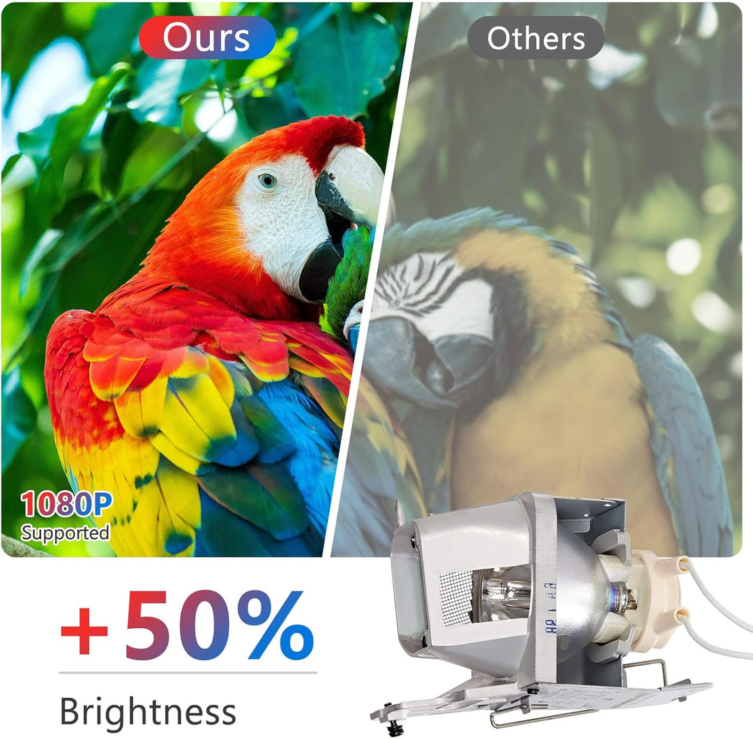 BL-FP210A SP.70201GC01 Beamerlampe Ersatz Projektorlampe Birne mit Gehäuse Kompatibel mit OPTOMA DH1