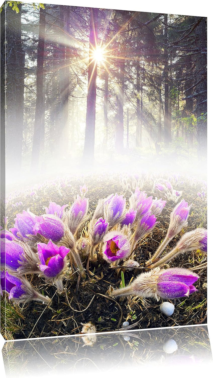 Pixxprint blühende lila Blumen im Wald, Format: 100x70 auf Leinwand, 100x70