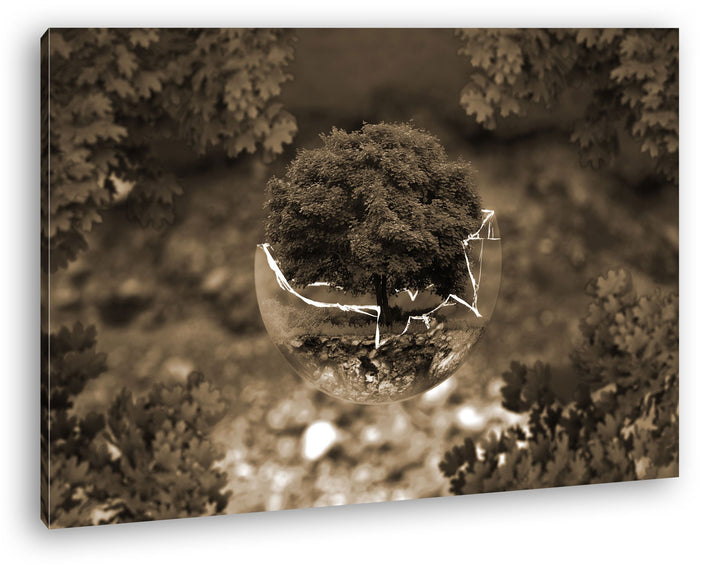 deyoli zerbrochene Glaskugel mit einem Baum Format: 60x40 Effekt: Sepia als Leinwandbild, Motiv fert