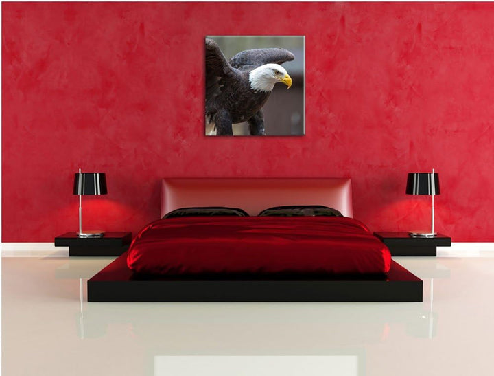 Pixxprint Adler, Format: 70x70 auf Leinwand, XXL riesige Bilder fertig gerahmt mit Keilrahmen, Kunst