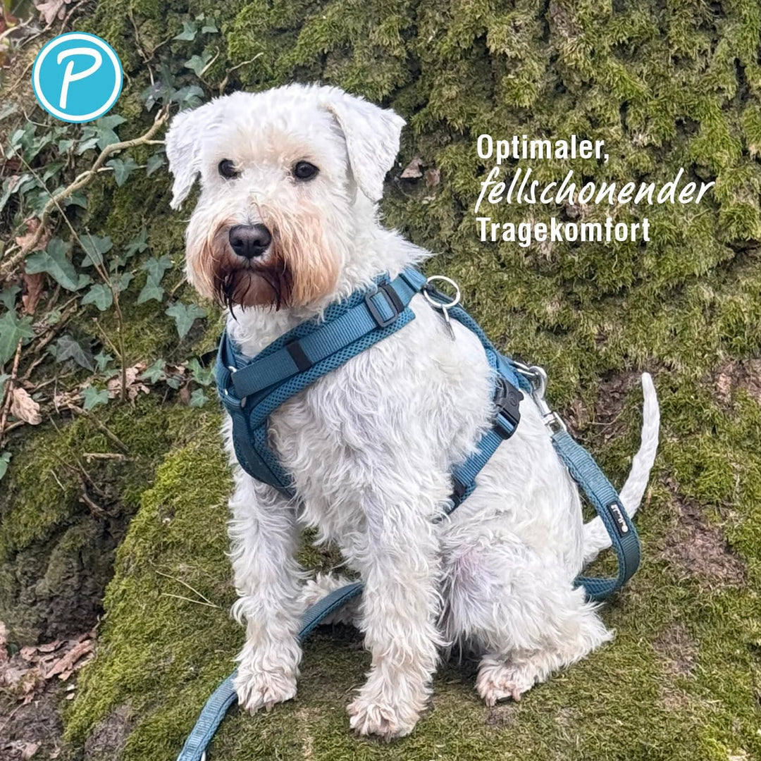 Petlando Hundegeschirr gepolstert, Mesh Y-Comfort, weich, stufenlos verstellbar, besonders leicht &amp;