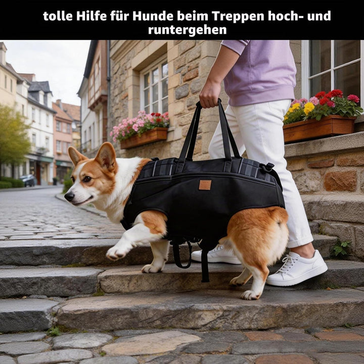 Hundetragegeschirr für grosse Hunde, Tragehilfe Hund (Brustumfang:49-63 cm), Hundegeschirr Grosse Hu