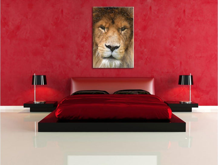 Pixxprint Kampfvernarbten als Leinwandbild | Grösse: 100x70 | Wandbild| Kunstdruck | fertig bespannt