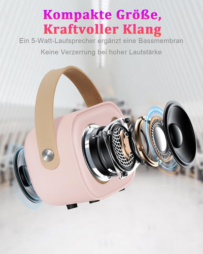 PRUNUS Karaoke Maschine Kinder mit 2 Mikrofonen, Mini Karaoke Set mit Stereosound und Heavy Bass für