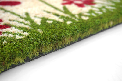 Carpido Fussmatte Kokos Blumenwiese Natur – Türmatte 40x60 cm 2er Set – antibakterielle Matte – Koko