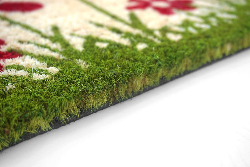 Carpido Fussmatte Kokos Blumenwiese Natur – Türmatte 40x60 cm 2er Set – antibakterielle Matte – Koko