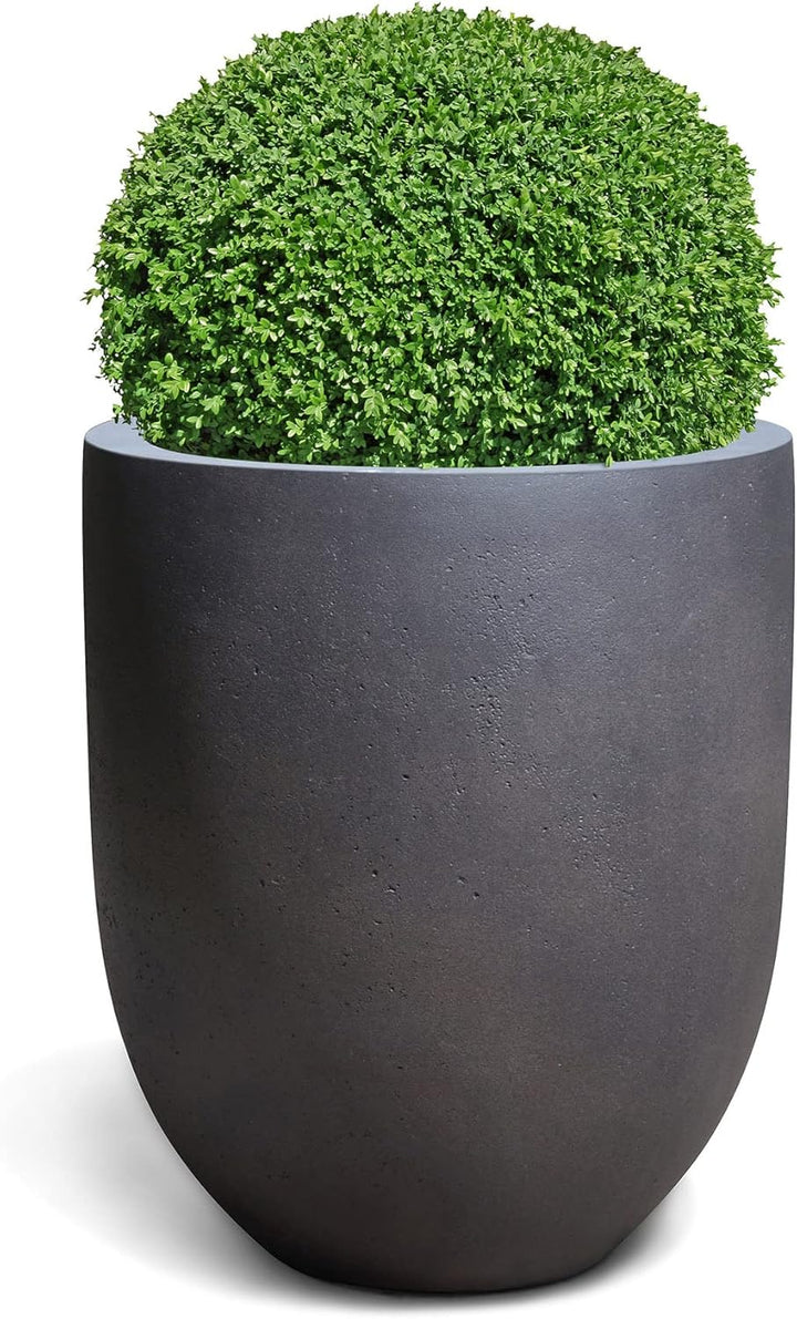 ESCHBACH® Pflanzkübel Tall Egg Pot 50 Espresso Anthrazit Rund * 52 x 52 x 61 cm * 10 Jahre Garantie