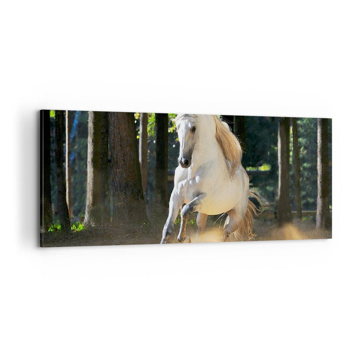 Panorama Bilder auf Leinwand 100x40cm Leinwandbild Staub Emotionen Pferd Natur Gross Wanddeko Bild S