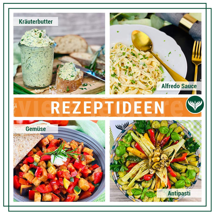 Azafran BIO Kräuter der Provence Kräutermischung 500g 500 g (1er Pack), 500 g (1er Pack)