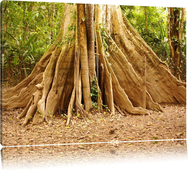 Mächtiger Urwald Baum Format: 100x70 auf Leinwand, XXL riesige Bilder fertig gerahmt mit Keilrahmen,