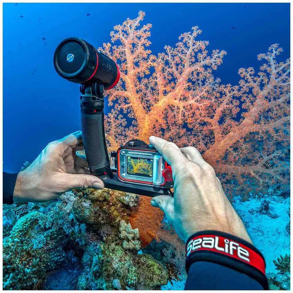 Sealife Reefmaster RM-4K Pro 2000 Set Pro 2000 Set (Kamera + Sea Dragon 2000F Licht+Zubehör), Pro 20