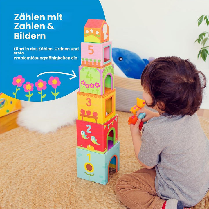 Djeco DJE-108 23482 Stapelspielzeug Stapelwürfel: Topanifarm, 18M+ Mehrfarbig, Mehrfarbig