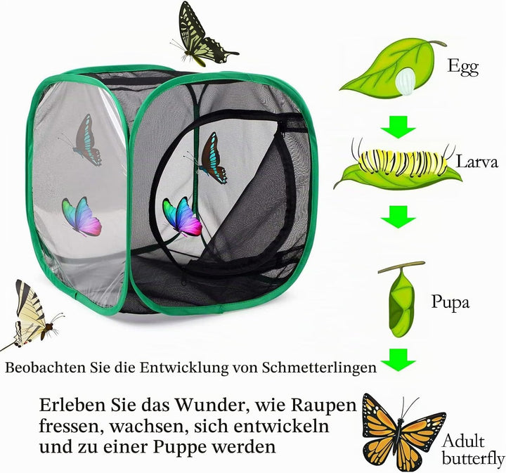 QIODAZOO Insekt und Schmetterling Lebensraum Käfig, Tragbare Schmetterlingshäuser Netzkäfig Terrariu