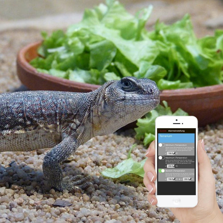 Technoline MA 10200 + Gateway Temperatur- und Luftfeuchteüberwachung von Terrarien/Gewächshäuser, We