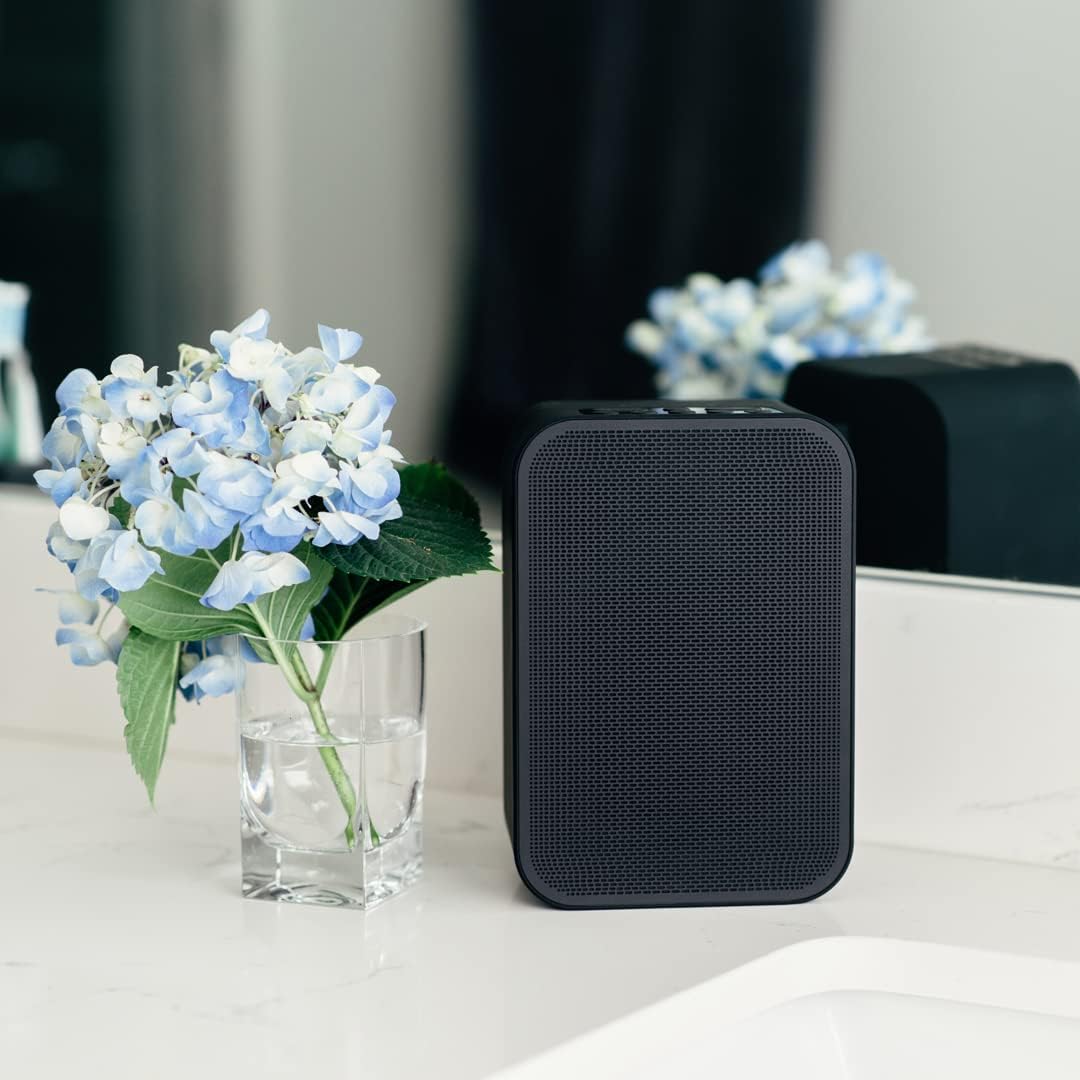 Bluesound Pulse Flex 2i tragbarer kabelloser Streaming-Lautsprecher - Schwarz Black, Black