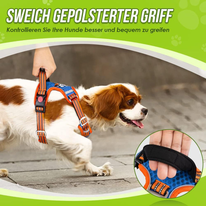 Eyein No-Pull Hundegeschirr, Air-Mesh Atmungsaktiv Brustgeschirr für kleine, mittelgrosse und grosse
