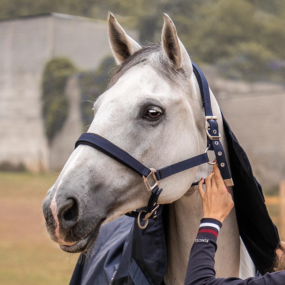Kingsland Halfterset Fleece  - Mehrfarbig - Pony