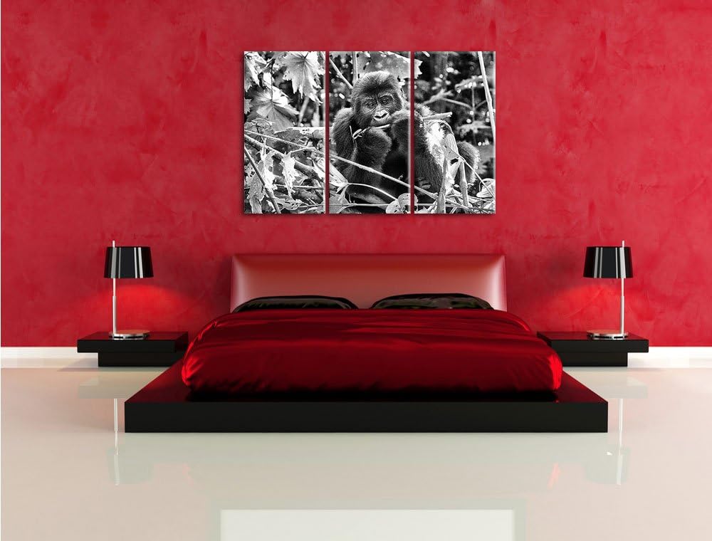 Pixxprint Monocrome, Gorilla beim Fressen 3-Teiler Leinwandbild 120x80 Bild auf Leinwand