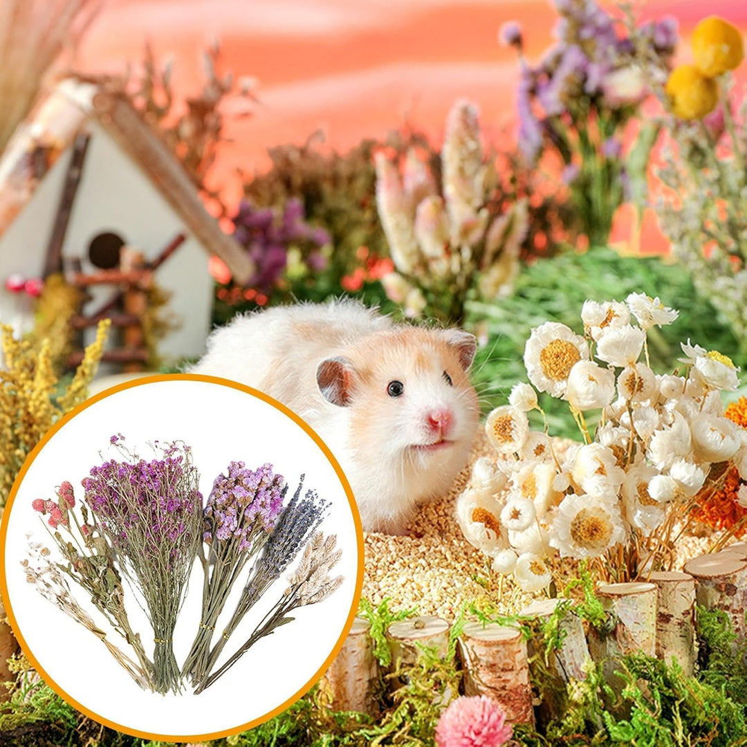 Generisch Hamster-Heublumen-Einstreu, Blumen-Hamster-Einstreu | Haustier-Blumenbettwäsche - Hauskäfi