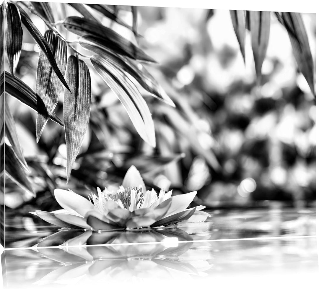 Pixxprint Weisse Seerose im Wasser Wellness als Leinwandbild/Grösse: 100x70 / Wandbild/Kunstdruck/fe