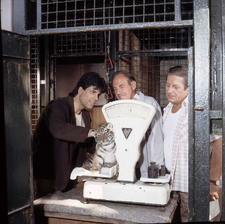 Tierparkgeschichten - Die komplette Serie (DDR TV-Archiv) [3 DVDs], DVD