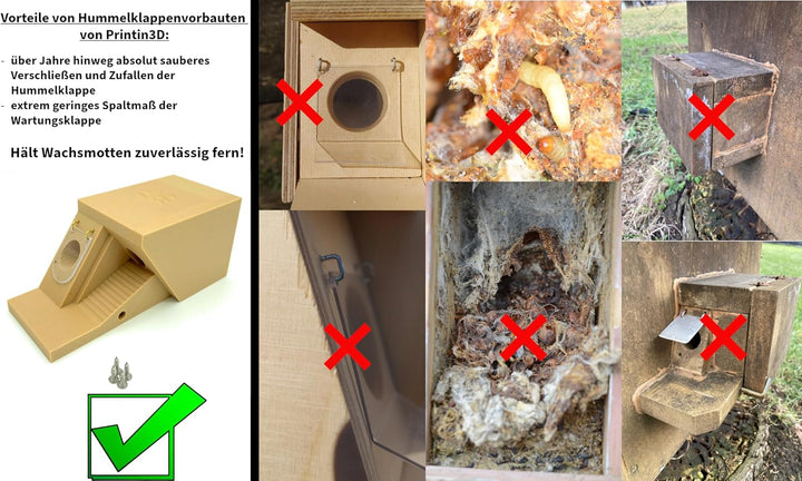 Doppelklappenvorbau, Hummelklappe/Wachsmottensperre, 2-Wege-System - Eingang rechts, für Ihren Humme